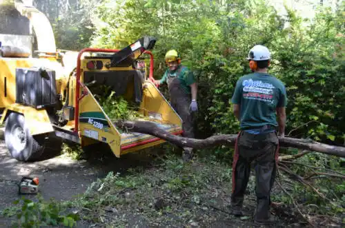 tree services Port Wentworth